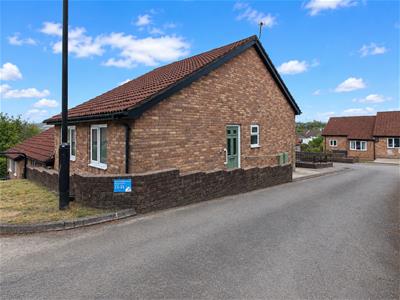 Picture 24